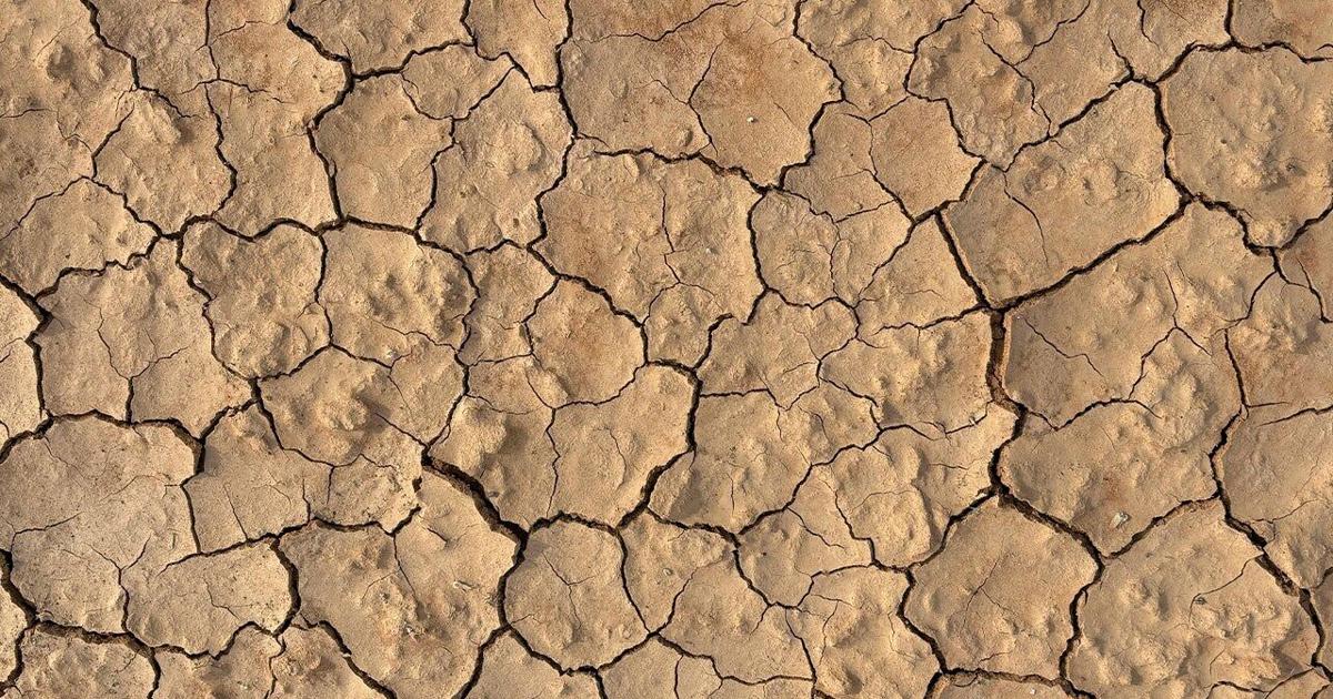 USDA designates 28 Indiana counties as natural disaster areas due to drought | News