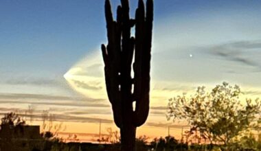 SpaceX launch amazes Oro Valley as capsule heads to space station | News