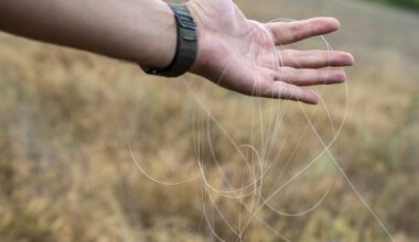 Ukrainian Soldiers Carry Scissors to Cut Fiber-Optic Drone Cables