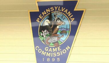 Reports of dead geese lead to park closure in Northampton Co. | Nazareth Area