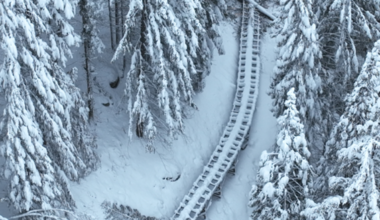 Tuolumne County officials declare emergency over damage to main water canal | News