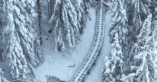 Tuolumne County officials declare emergency over damage to main water canal | News