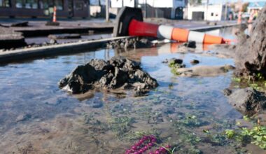 Boil water advisory lifted in New Orleans after main break | News