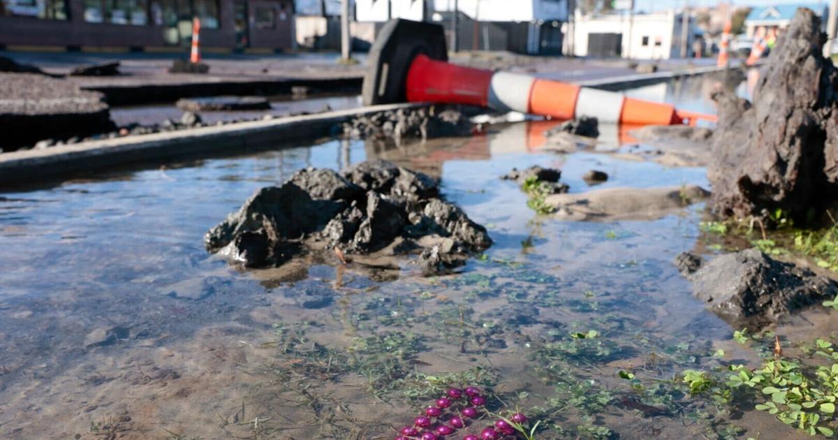 Boil water advisory lifted in New Orleans after main break | News