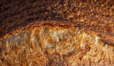 The Healthiest Breads, Ranked By A Dietitian