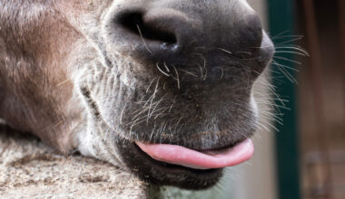 Yahoo lifestyle home