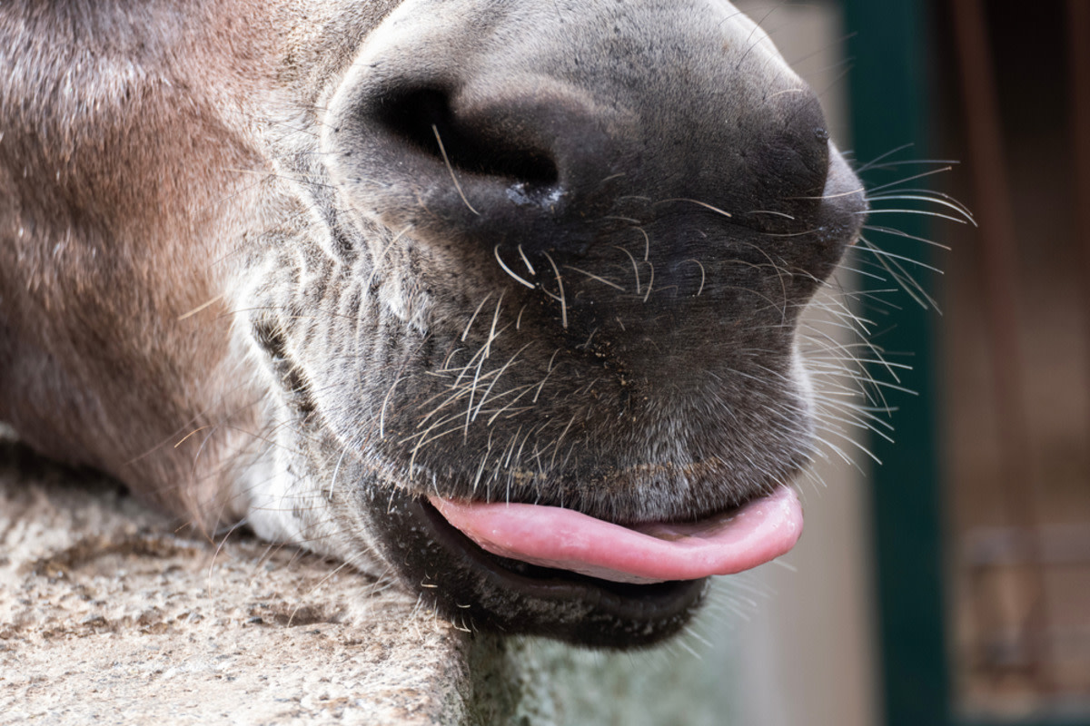 Yahoo lifestyle home