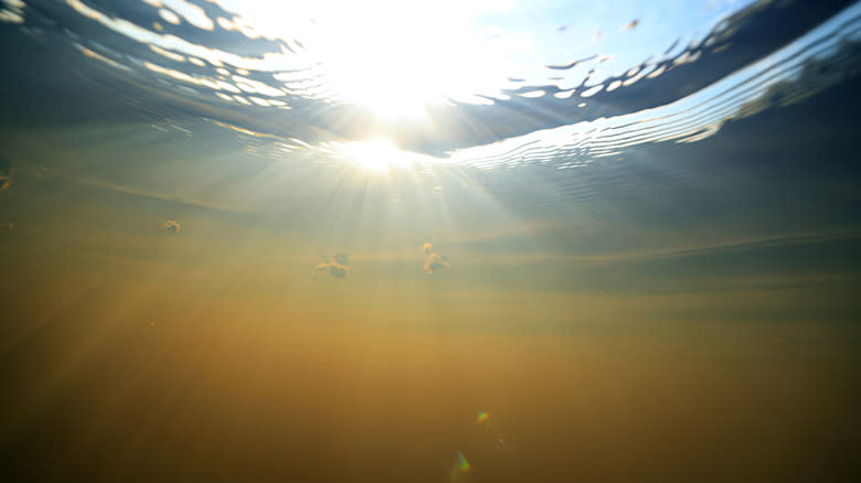 Underwater photo of dirty, muddy water
