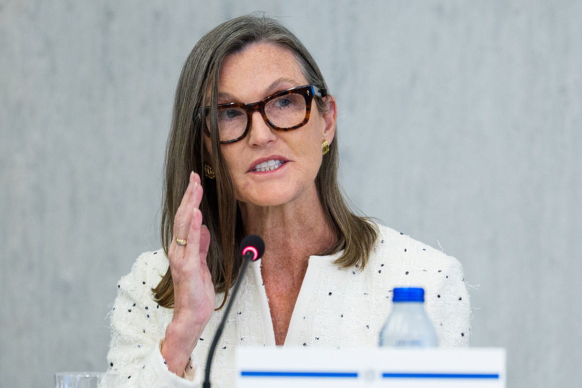 Cathie Wood buys $14 million of megacap AI stocks