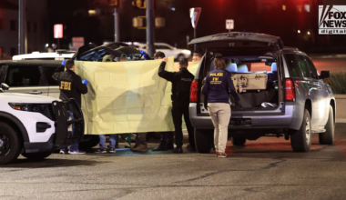 Nancy Guthrie disappearance: Sheriff says no arrests, none remain in custody after major operation