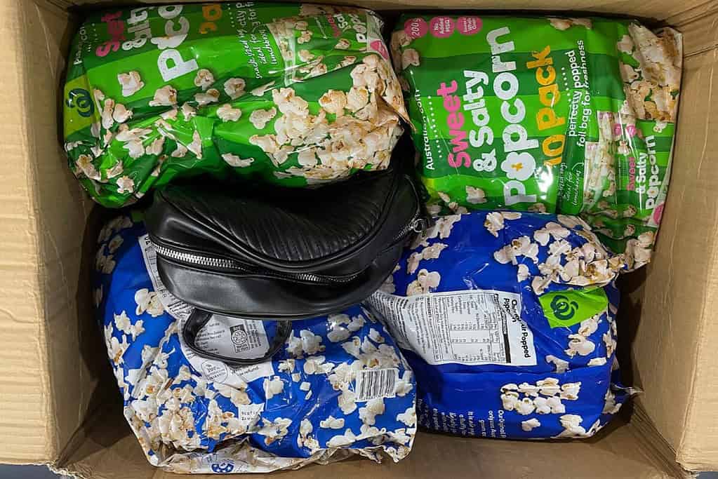 Popcorn bags in a cardboard box with a small black purse on top.