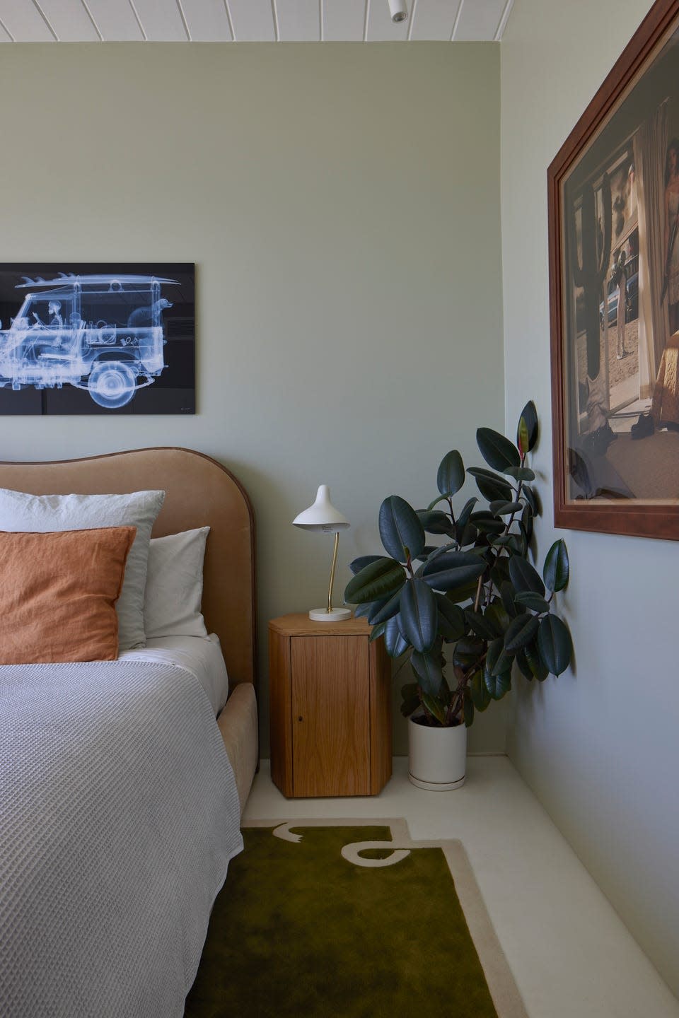 bedroom with sage green walls and potted plant