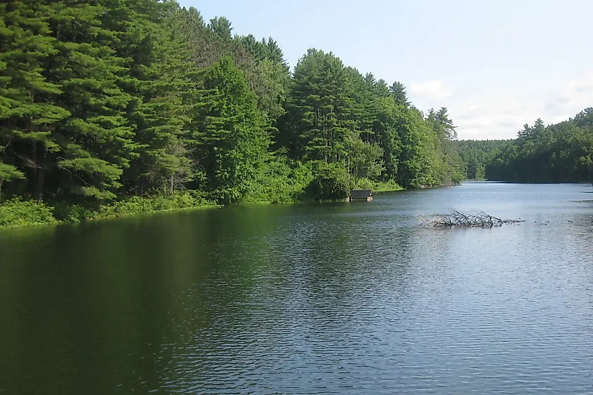 Bear Hole Reservoir, a habitat for snakes and an important water source for West Springfield residents
