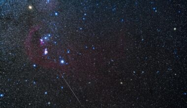 The stars of the constellation Orion shine in a winter night sky against a background of fainter stars as a meteor streaks diagonally across the image to the lower right.