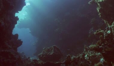 A Chinese Team Found Something Incredible 10,000 Meters Below The Ocean, Here's What What They Discovered