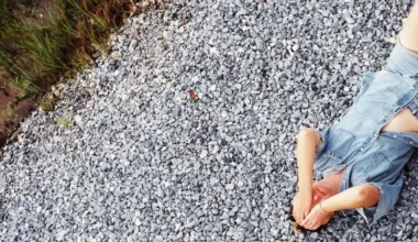 New Pornographers, Fcukers, Abi Reimold & more