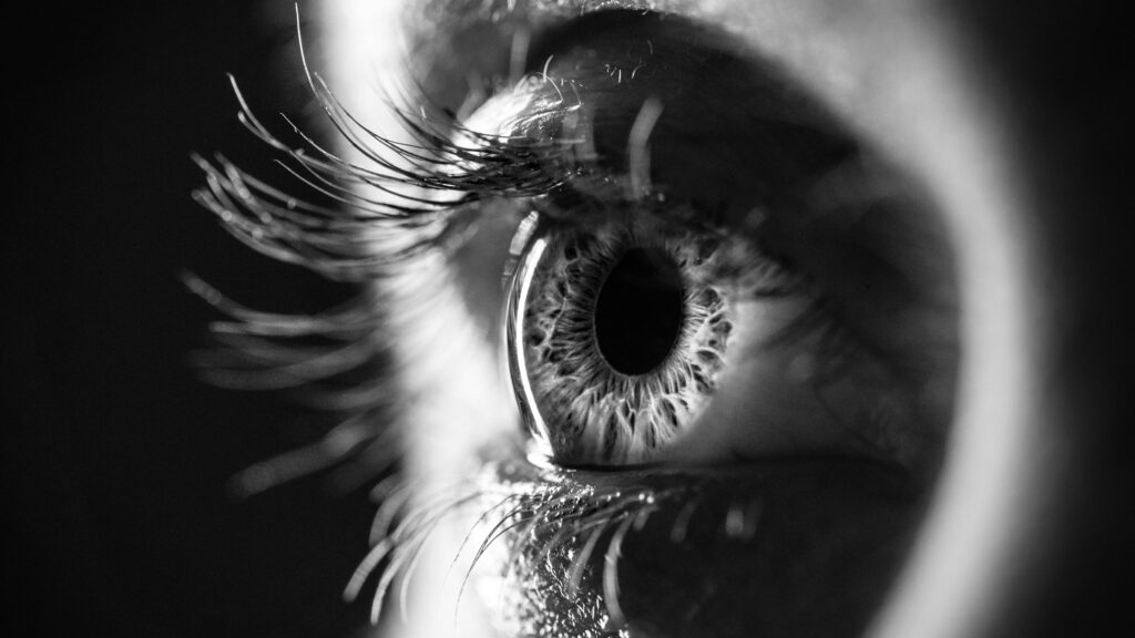 Ocular Therapeutix wet AMD drug Axpaxli tops Eylea in study