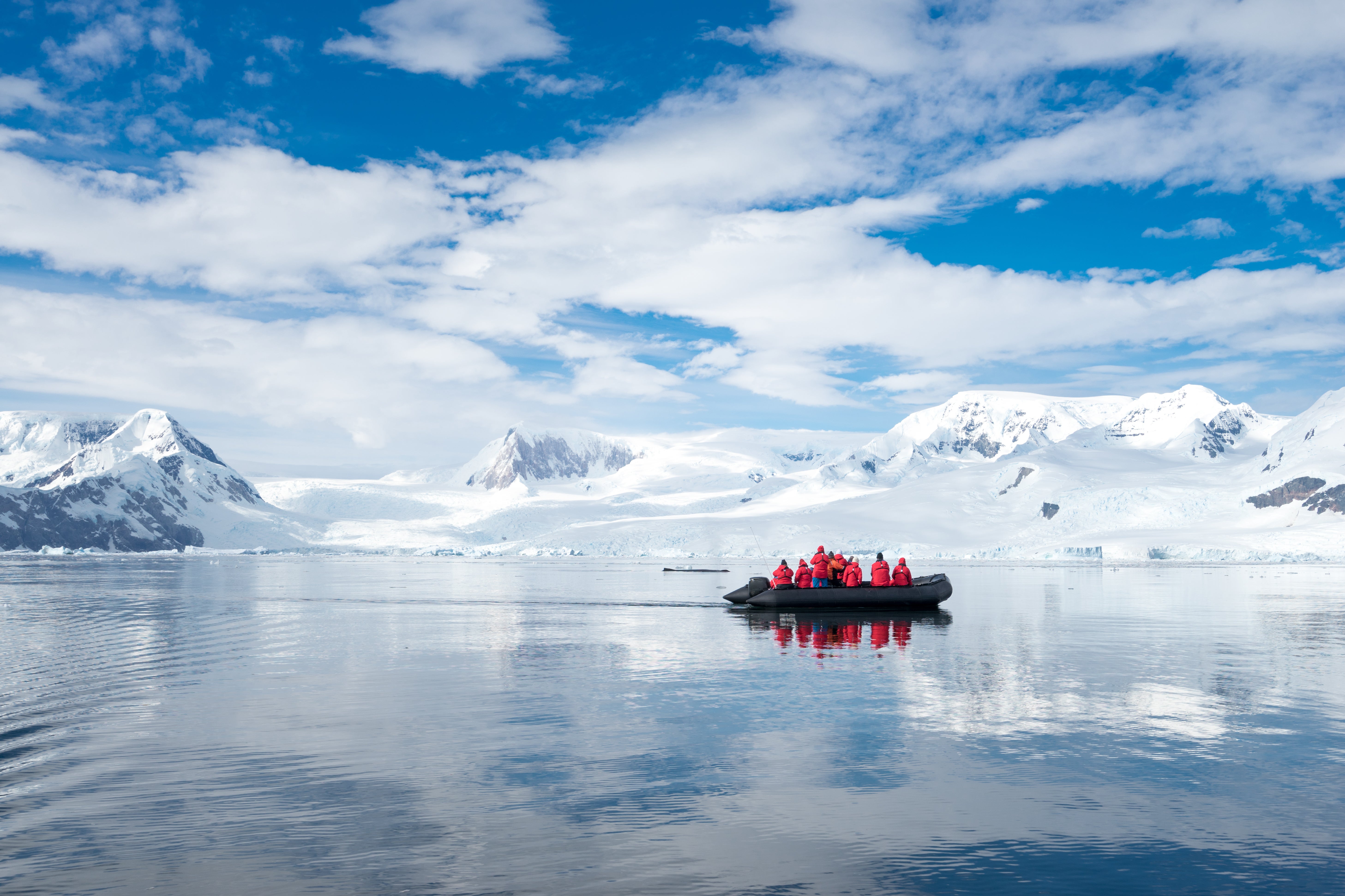 An inflatable boat full of tourists on a whale and seal watching trip in Antarctica