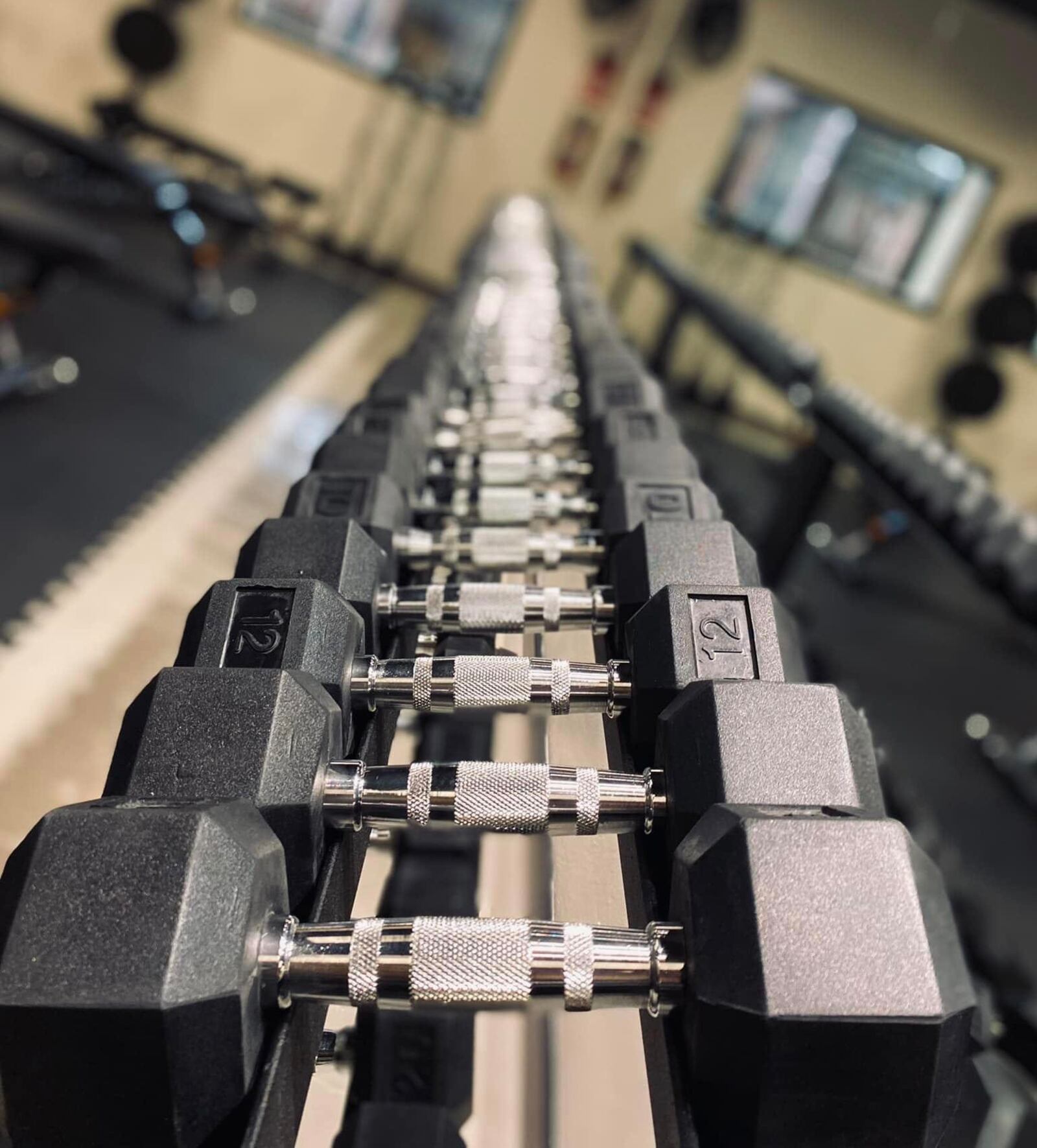 Participants and coaches of The Iron Method