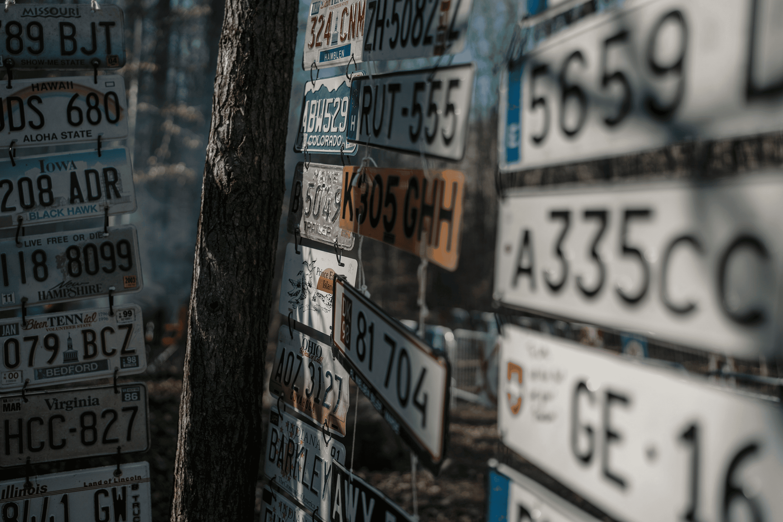 Barkley Marathons License Plates