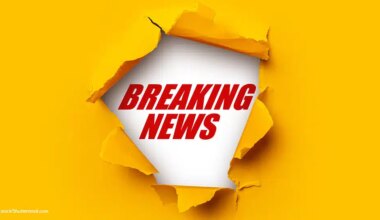 Breaking News | Today's Veterinary Business