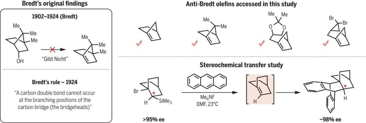 Bredt’s Rule (1924) And Anti Bredt Olefins Generated In This Study