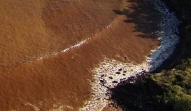 Brown water advisory issued throughout Hawaiian Islands : Big Island Now