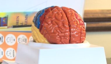 University of Kansas offers free online therapy to Kansas adults