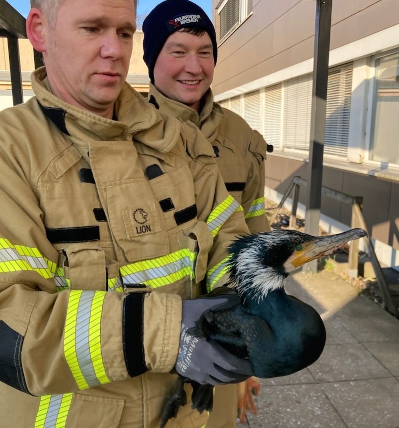 Two firefighters with the cormorant, one holding it