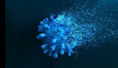 'Zombie' Remnants of COVID-19 Hunt In Packs And Kill Our Immune Cells : ScienceAlert