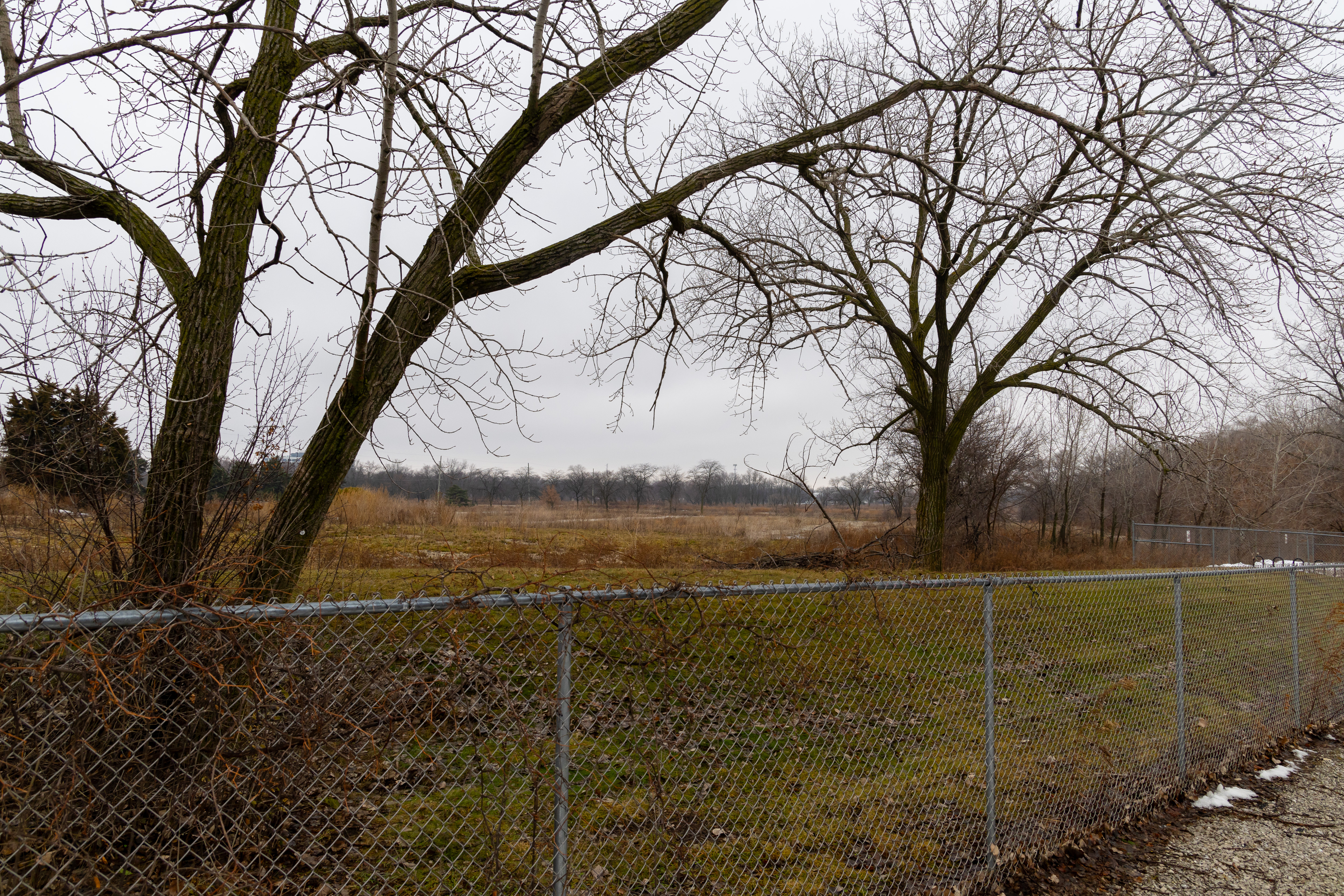 The former Arlington International Racecourse siteÂ in Arlington Heights on Dec....