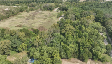 Planned to kill deer in Clarksville’s Origin Park paused after transparency concerns