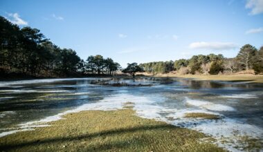 Reconstruction Begins at Chequessett Golf Course