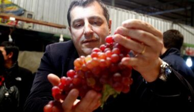 Chilean table grape supply to U.S. expected to drop