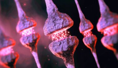 A Hidden Brain Process May Help Explain Why Alzheimer's Risk Rises With Age : ScienceAlert