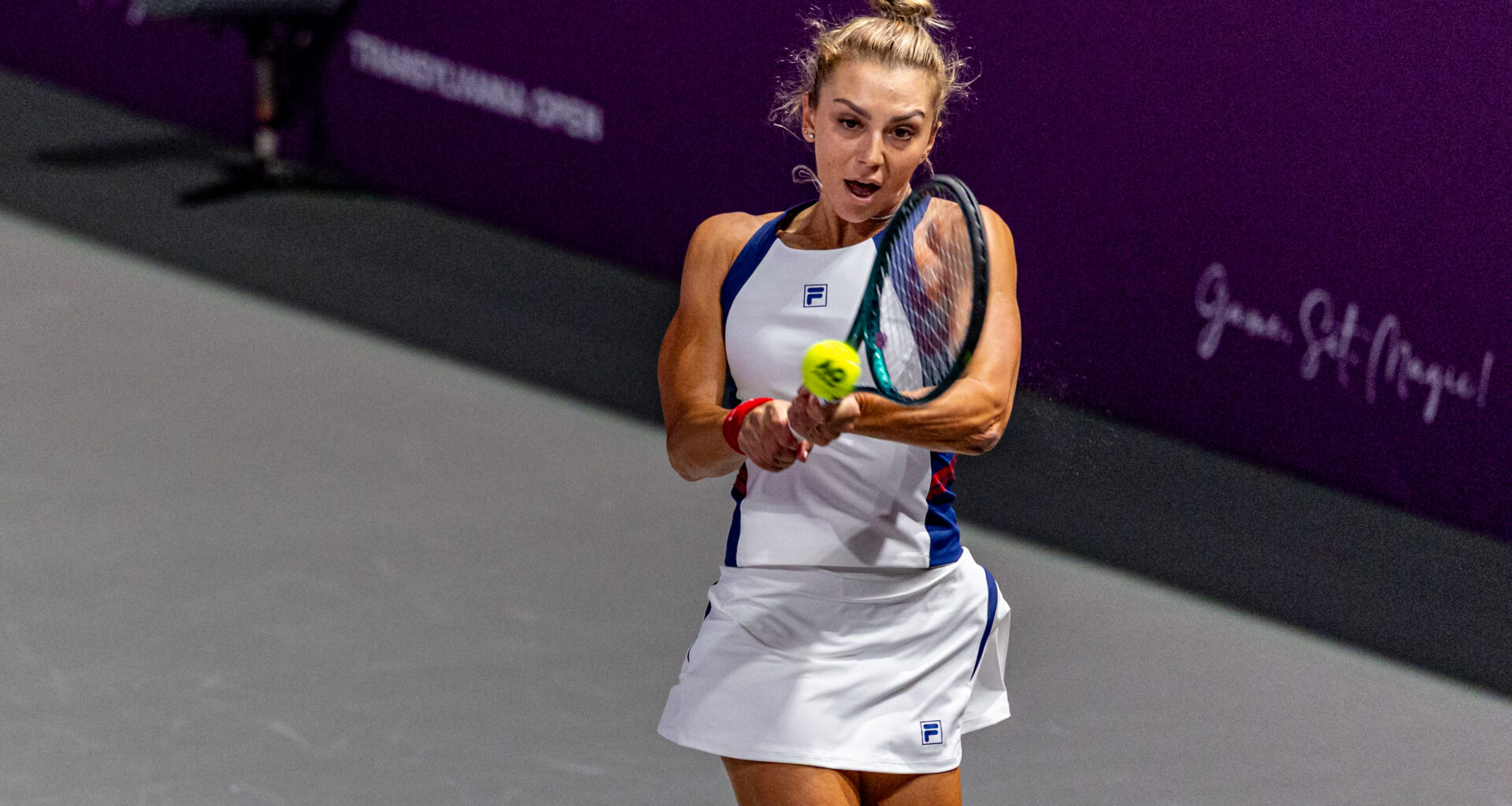 Romanian No. 1 Cristian edges qualifier Stefanini in Cluj-Napoca thriller - WTA Tennis