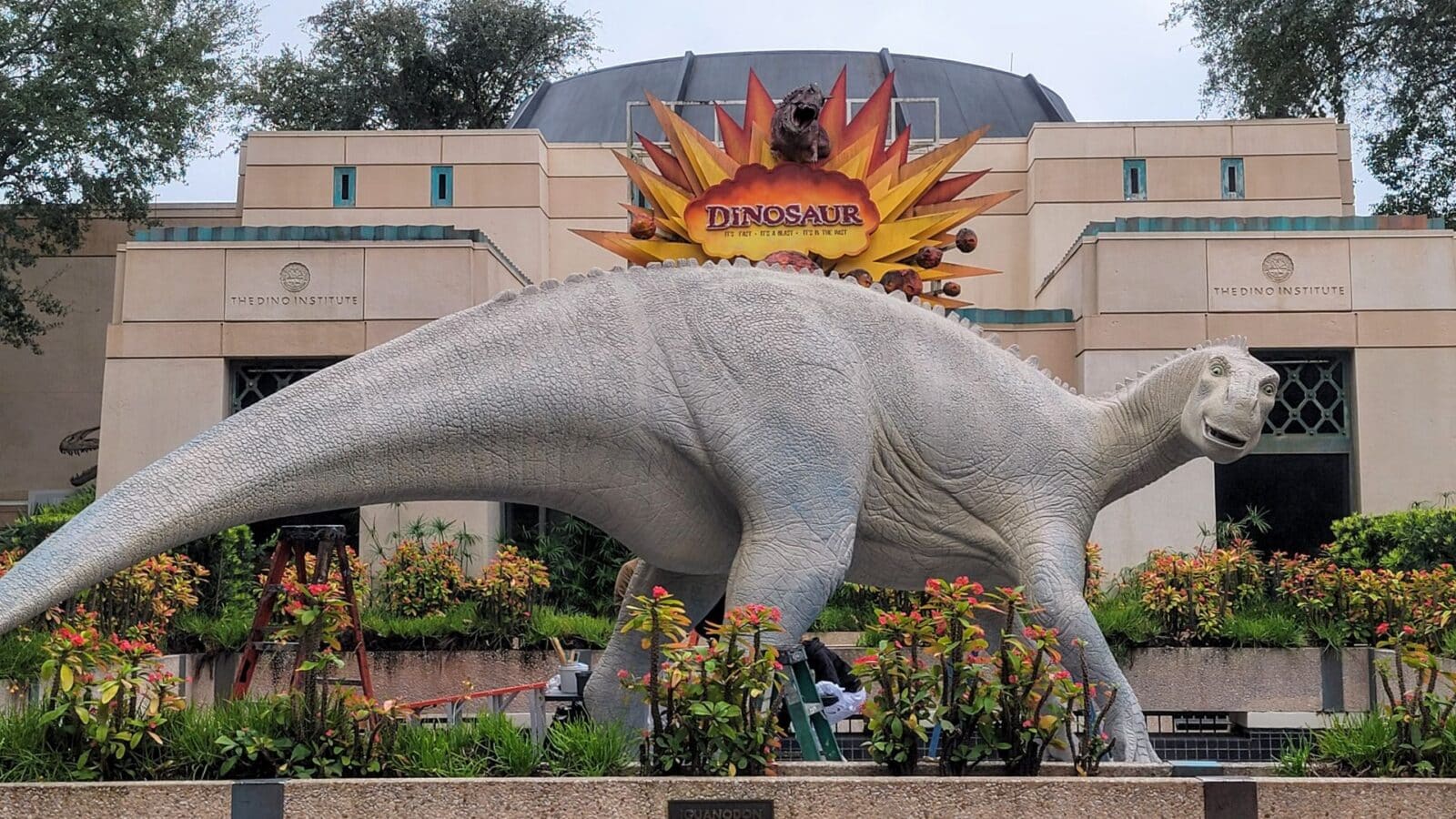 A Frozen Farewell DinoLand USA Faces Final Extinction During Record Breaking Florida Cold Snap