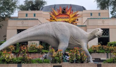A Frozen Farewell DinoLand USA Faces Final Extinction During Record Breaking Florida Cold Snap