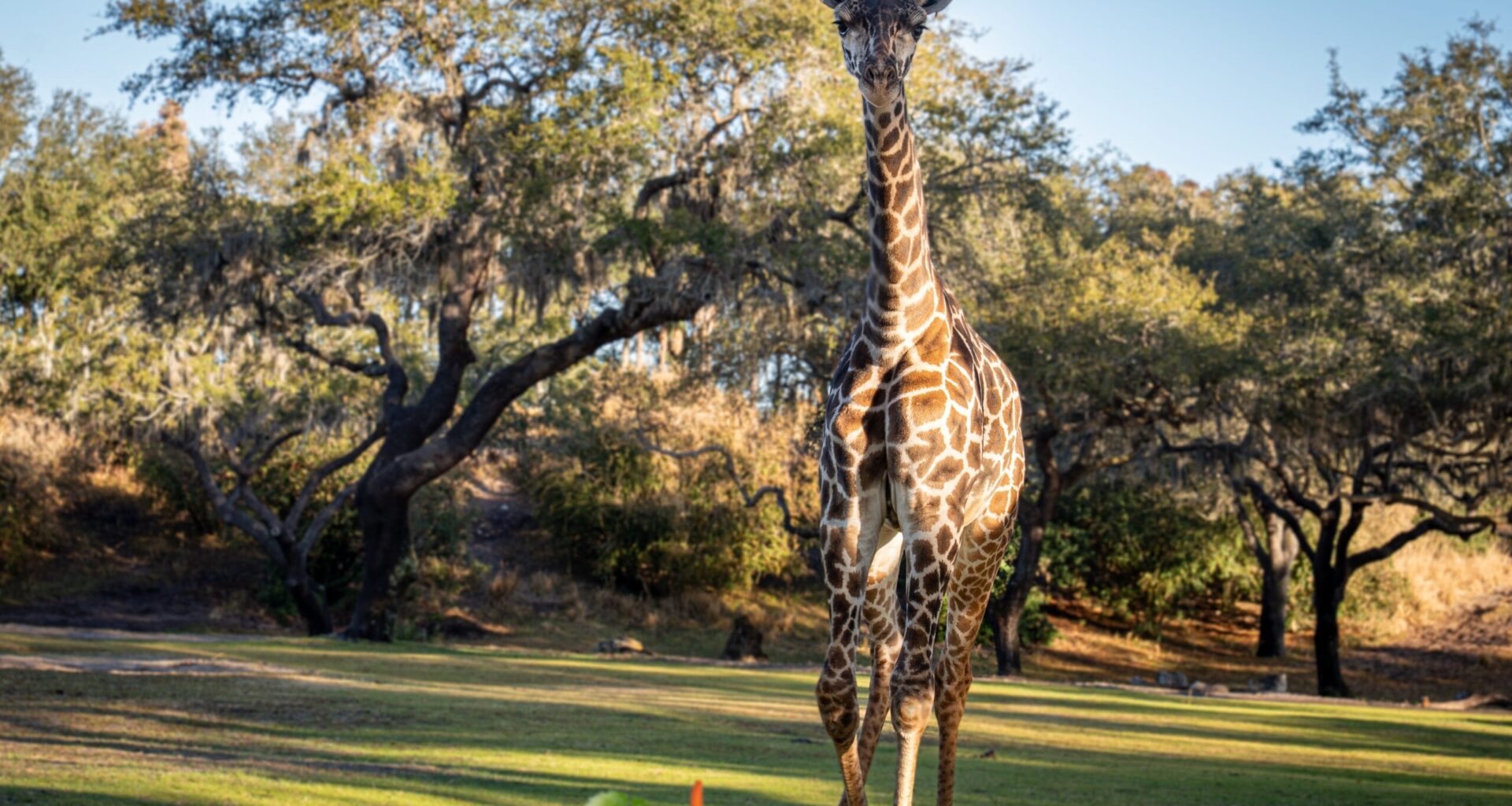 Tucker Celebrates 1st Birthday