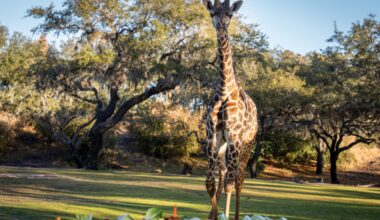 Tucker Celebrates 1st Birthday