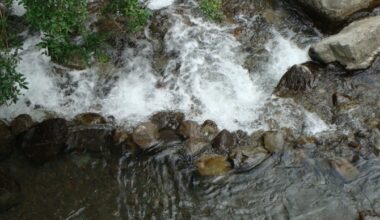 Open house Feb. 25 on new water conservation rules that take effect March 1 : Maui Now