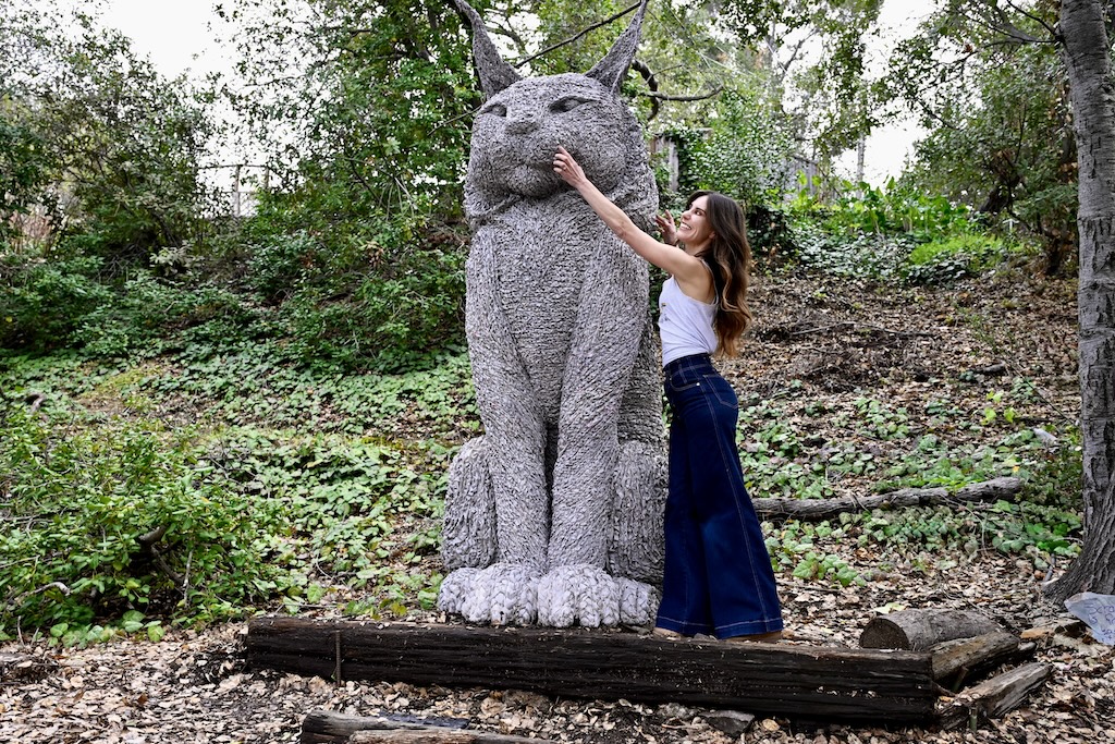 Scrappy the Cat is the town's new unofficial monument | Los Gatan