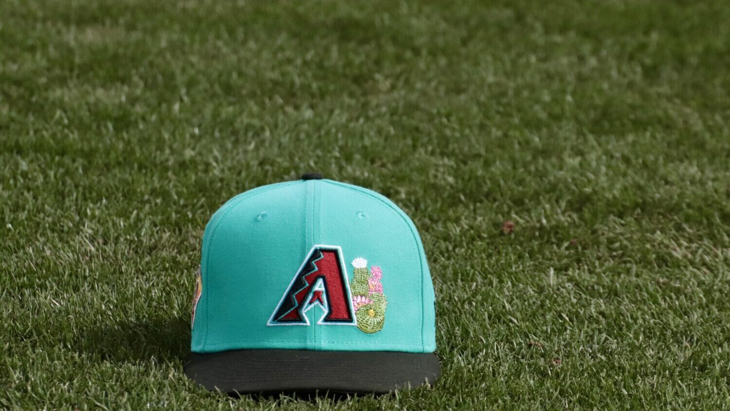 Diamondbacks spring training hat...
