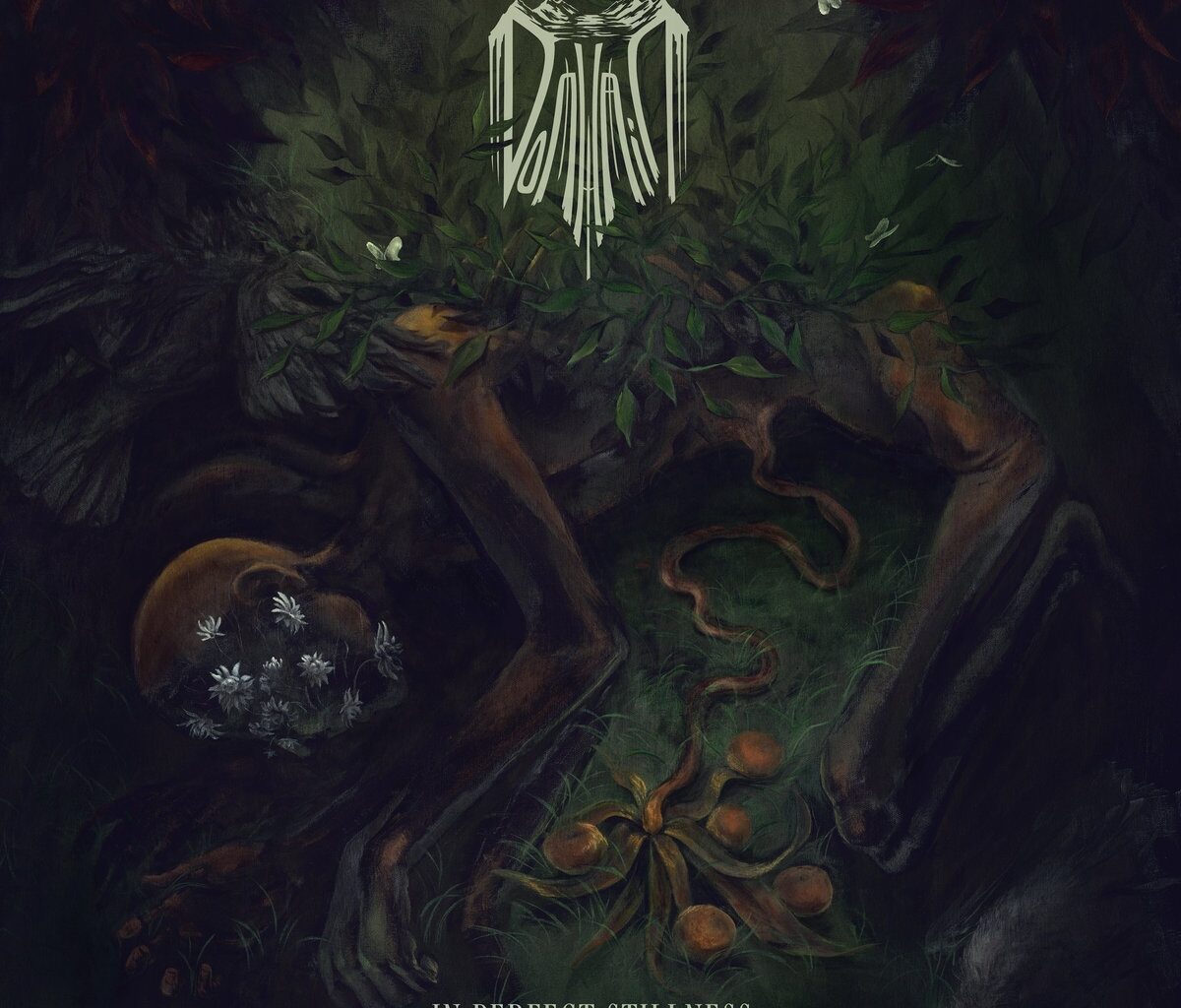 Domhain - In Perfect Stillness Review