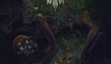 Domhain - In Perfect Stillness Review