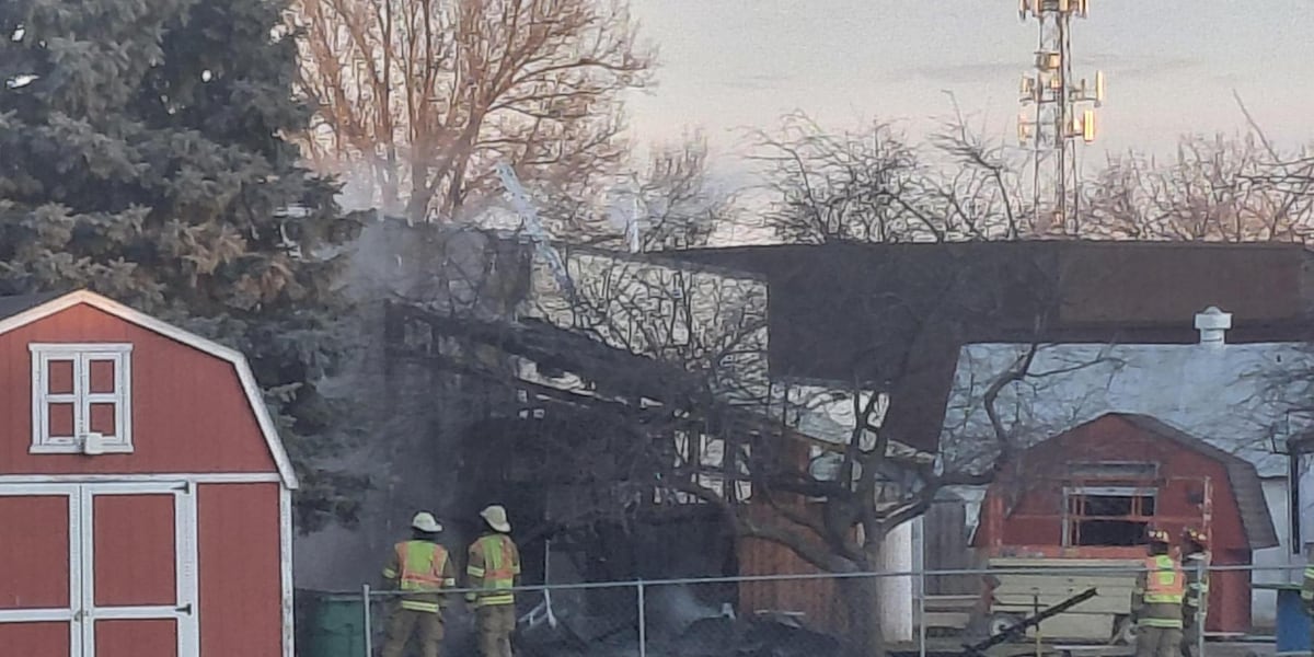 Three raptors died, eagle rescued in Aurora museum fire