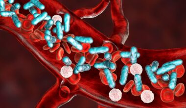 A 3D illustration of sepsis, showing rod-shaped bacteria with red and white blood cells.