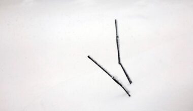 Mass. town-by-town snow totals for Feb. 23, 2026