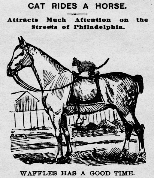 F1DZJs4aMAEN7MJ.png F1DZJs4aMAEN7MJ.png