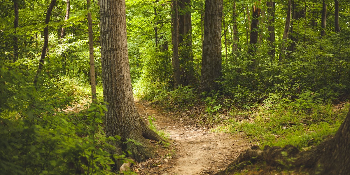 Wildlife reduction operation planned at Origin Park in Clarksville